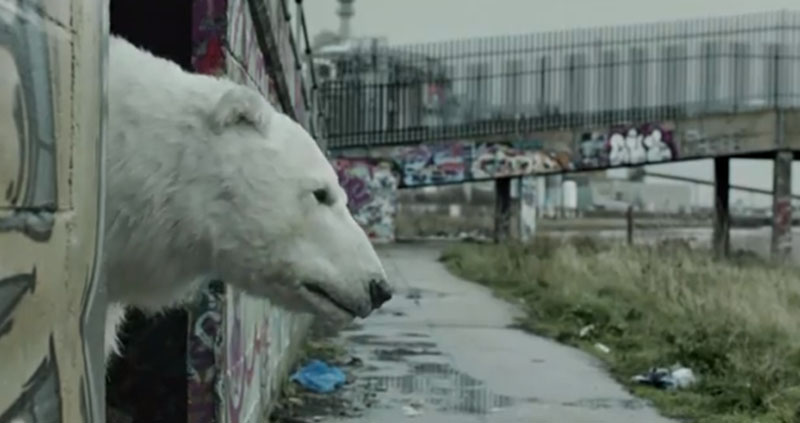 Urso Polar sem teto em Londres
