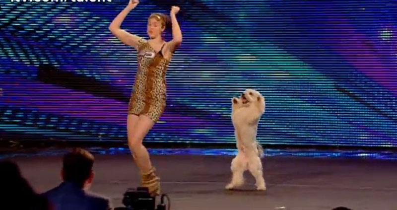 Ashleigh e Pudsey